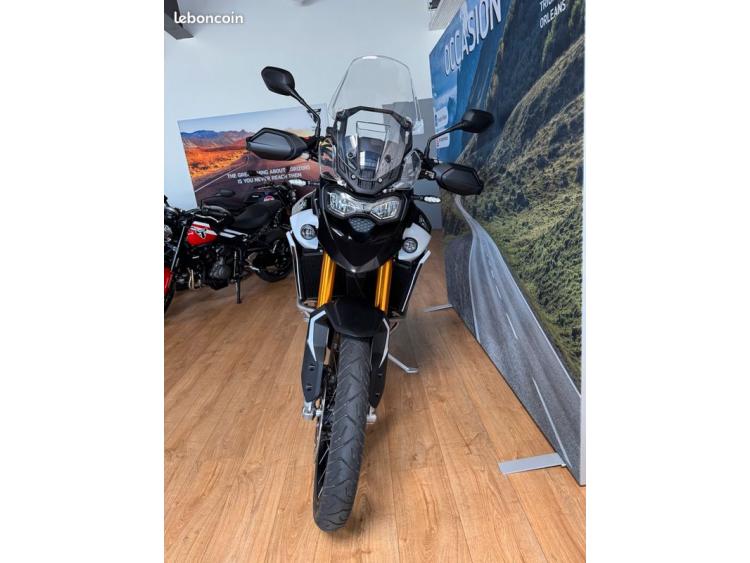 TRIUMPH TIGER 900 RALLY PRO