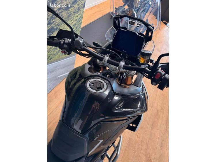 TRIUMPH TIGER 900 RALLY PRO