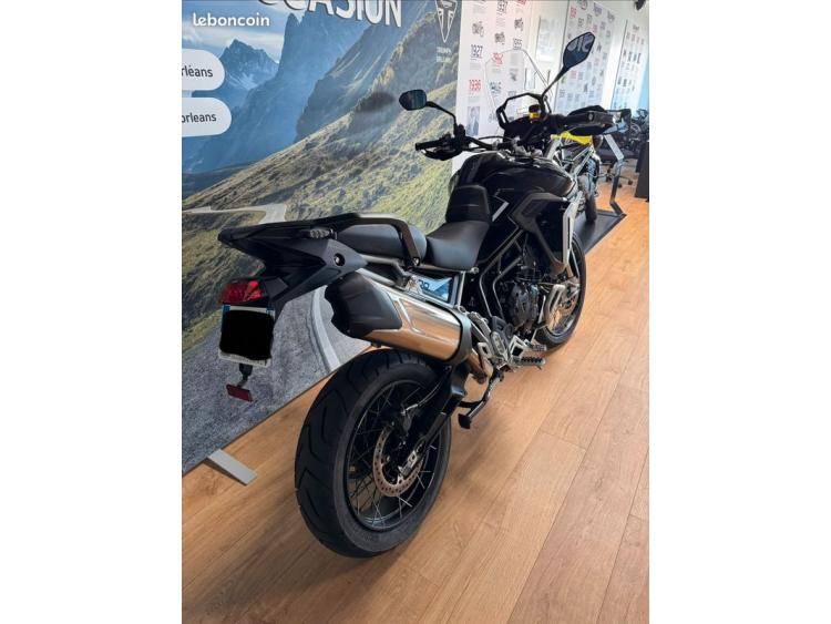 TRIUMPH TIGER 900 RALLY PRO